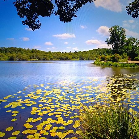 Vacances Dans Les Landes Aureilhan  ภายนอก รูปภาพ